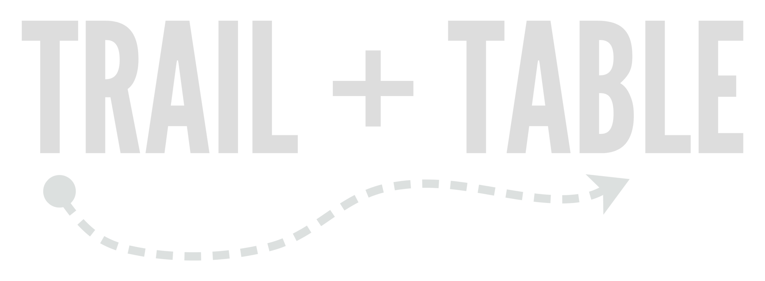 t+t header logo lite